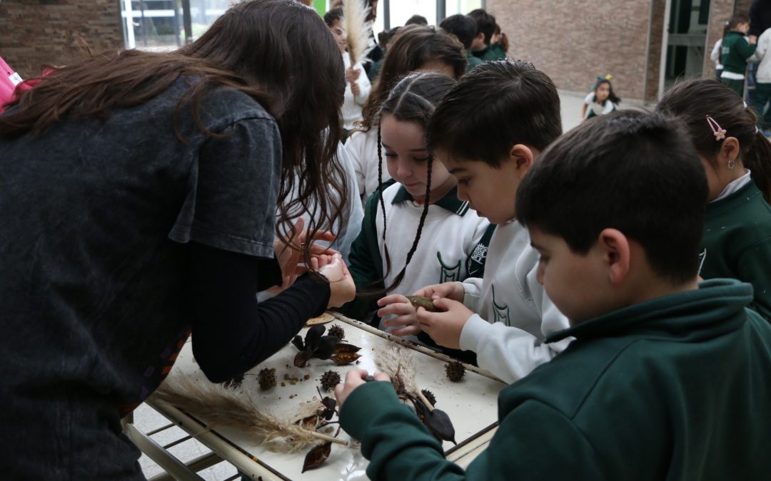 Promueven la educación ambiental en escuelas primarias